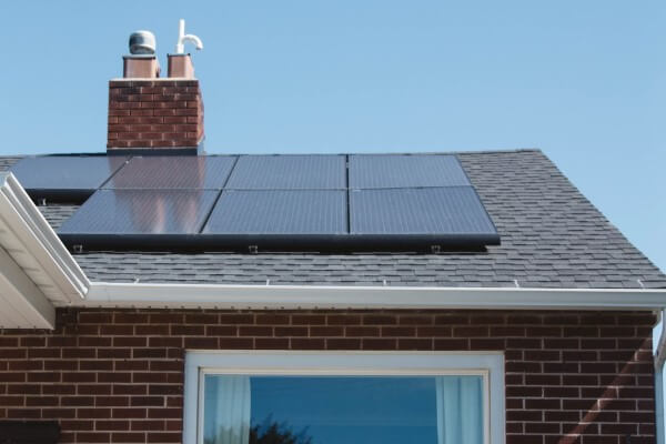 PEST CONTROL WARE, Hertfordshire. Services: Solar Panel Bird Proofing. Prevent Bird Damage to Your Solar Panels with Local Pest Control Ltd's Specialized Bird Proofing Services in Ware